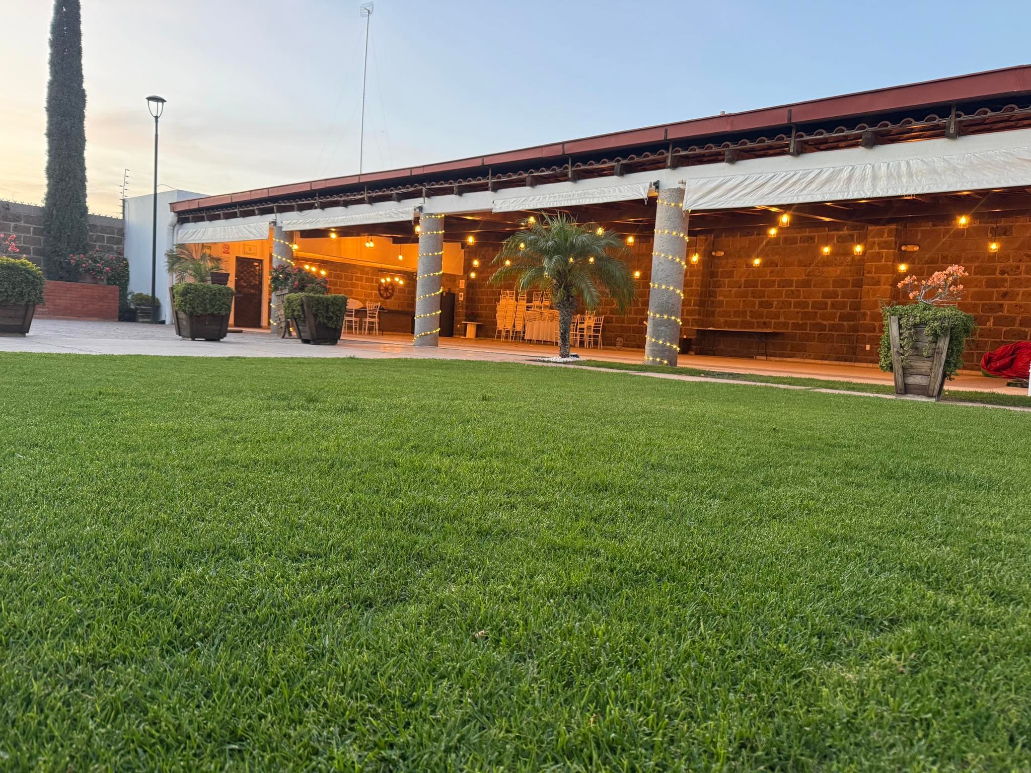 حديقة أنيقة